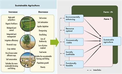  Agriculture and Rural Development: An Asian Perspective - A Philosophical Odyssey Through Sustainable Cultivation